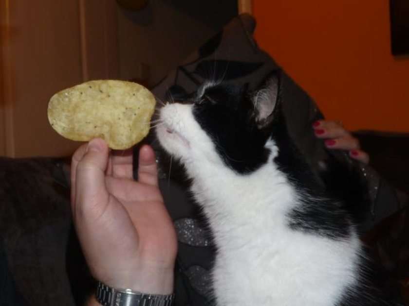 Jag äter chips :) pussel online från foto