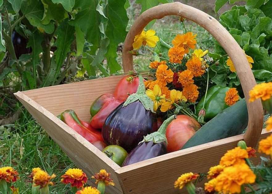 Légumes frais puzzel online van foto
