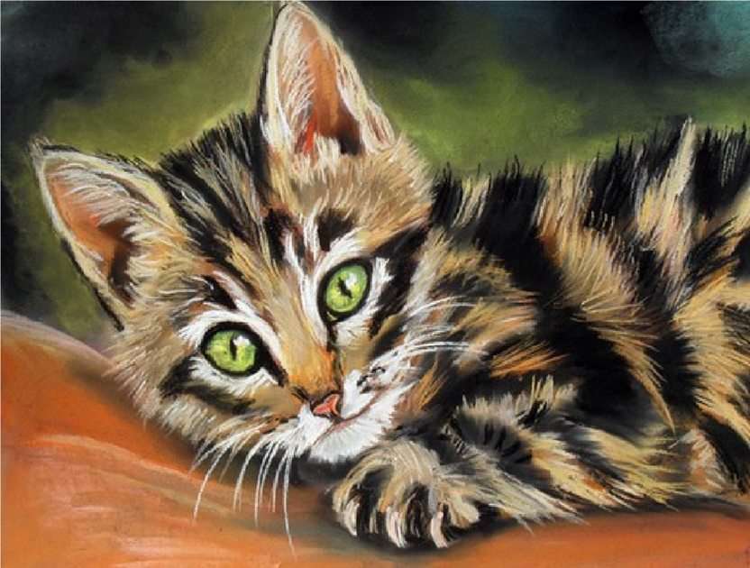 domestic cat puzzle online from photo