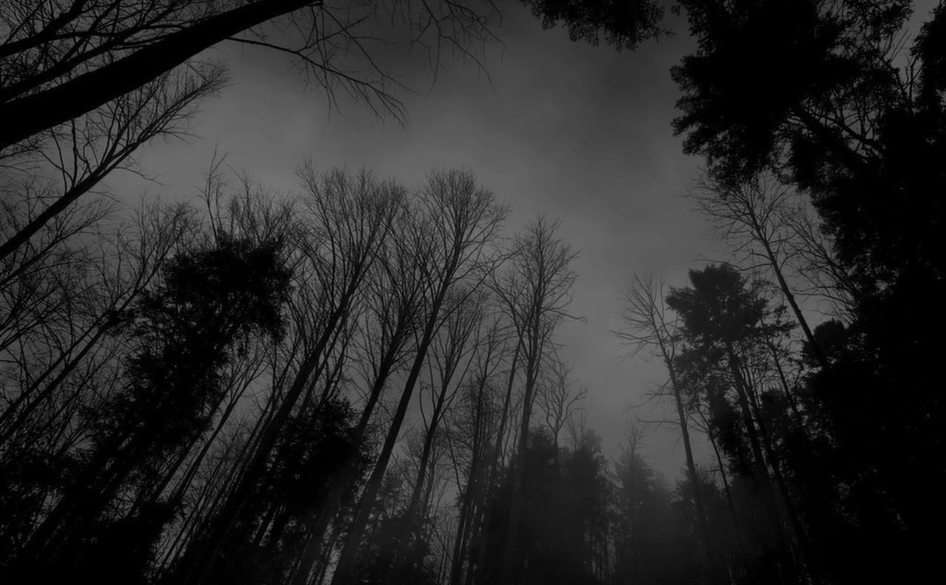 Σκοτεινό δάσος online παζλ