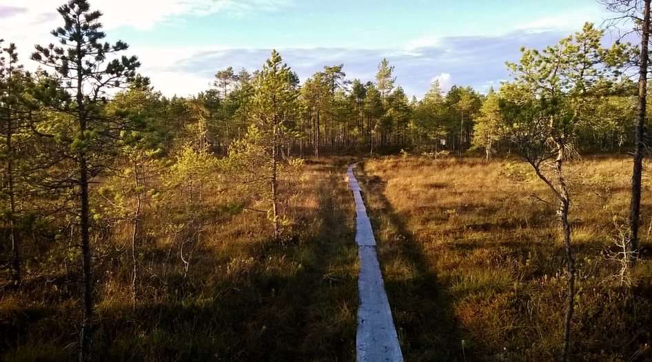 Nature trail of Siiponjoki puzzle online from photo