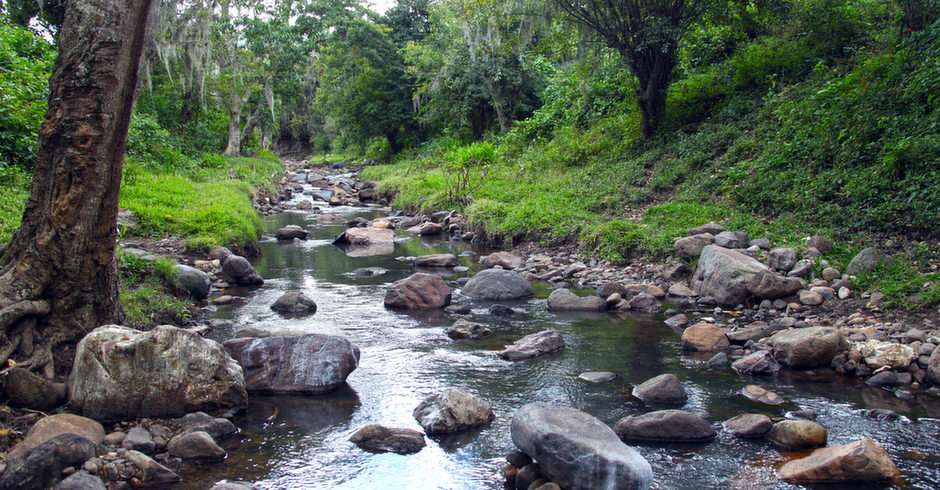 Jinotega Fluss Online-Puzzle vom Foto
