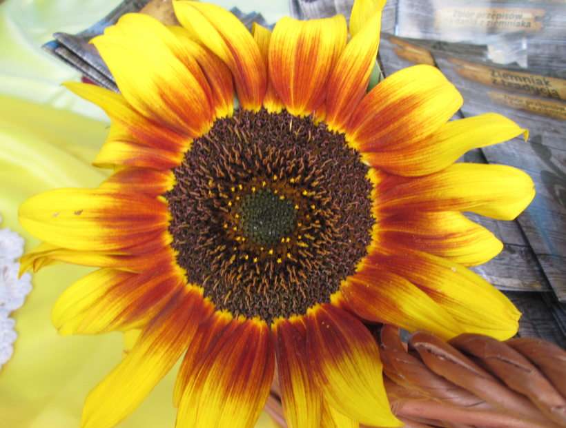 sunflower puzzle online from photo