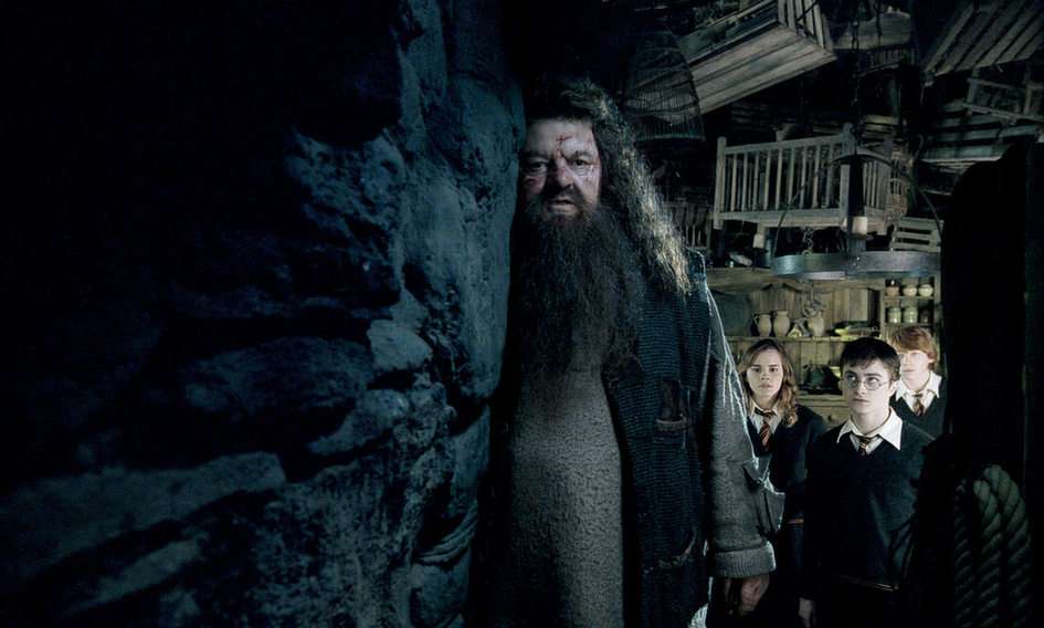 Hagrid puzzle online fotóról