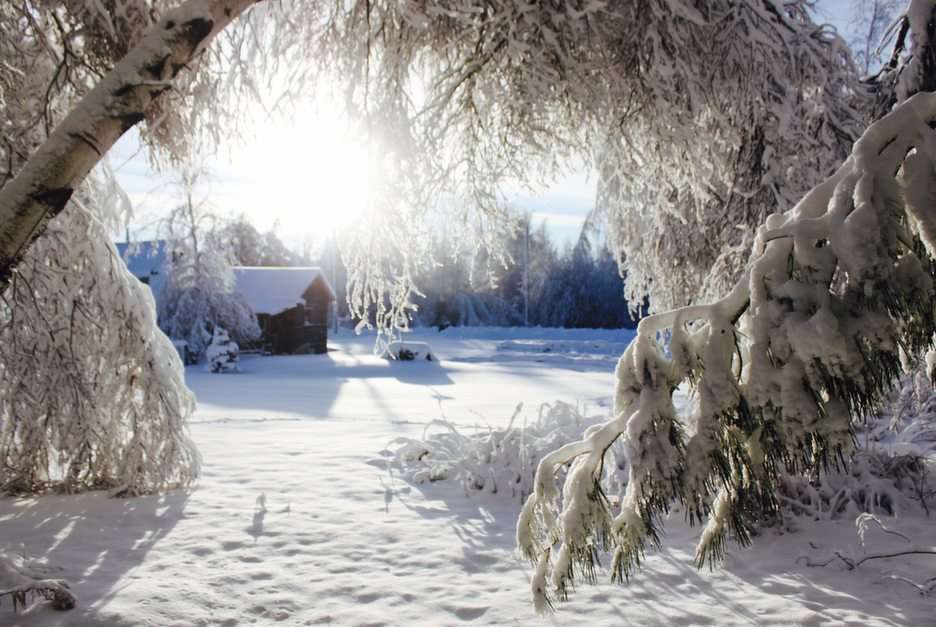 Winter in Kanada Online-Puzzle vom Foto