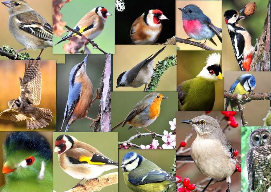 The birds puzzle online from photo