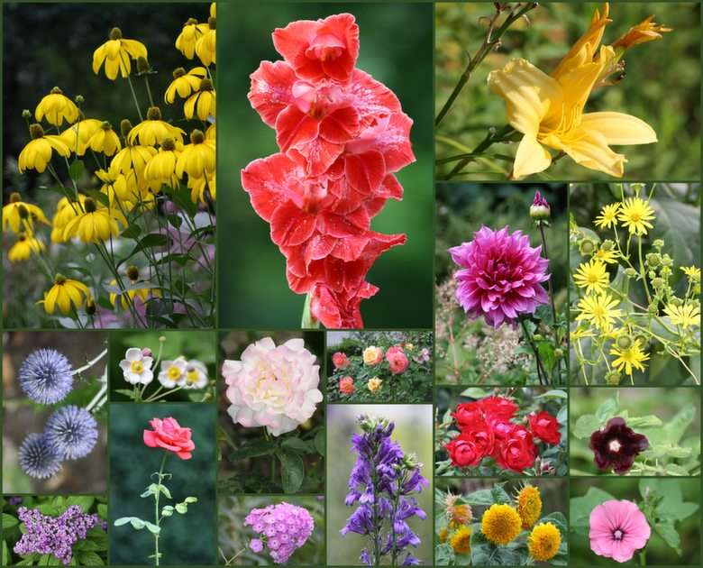 květiny puzzle online z fotografie