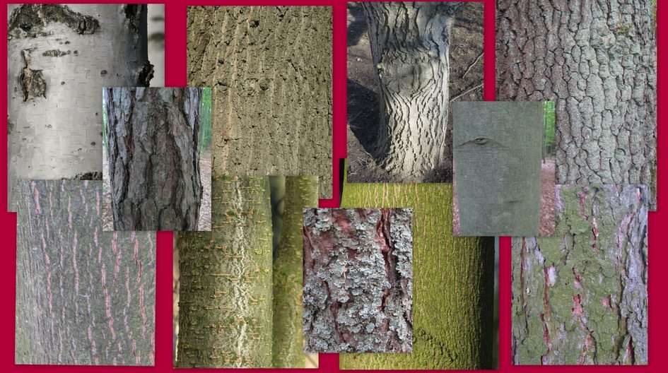 Tree bark online puzzle