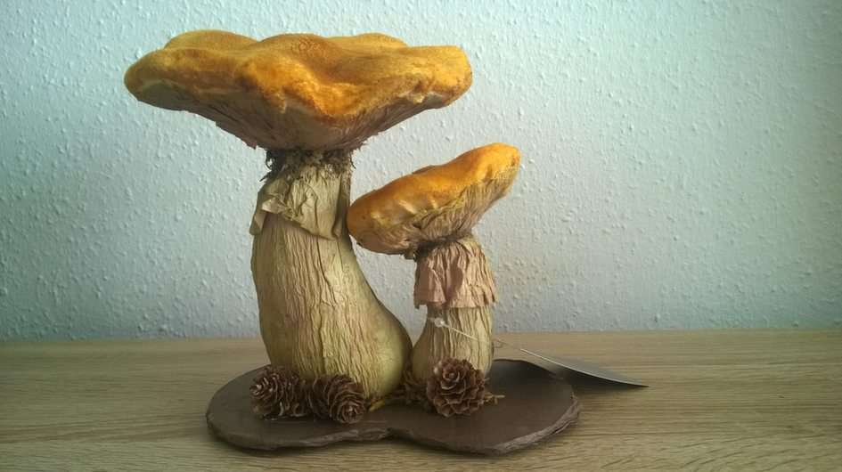 Cogumelos puzzle online a partir de fotografia