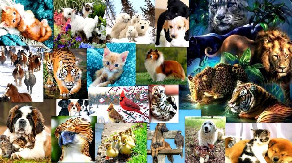 Fauna puzzle online from photo