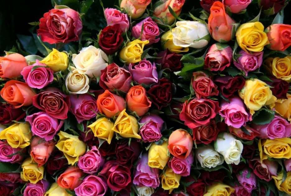 Bouquet of roses for Puzzler Girls puzzle online from photo