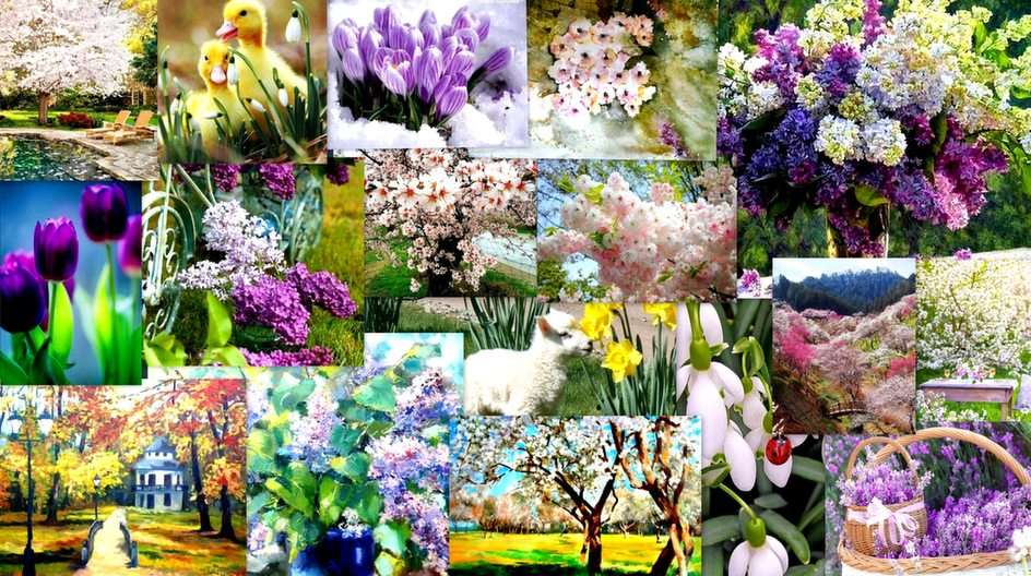 Пролет онлайн пъзел от снимка