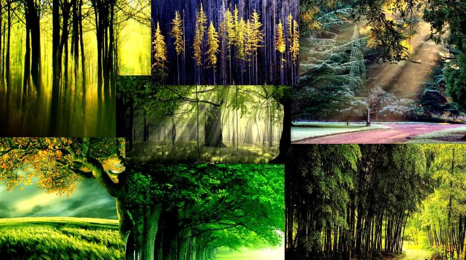 森のコラージュ オンラインパズル