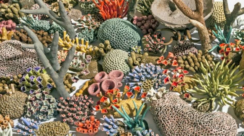 Kleurrijke koralen :) puzzel online van foto