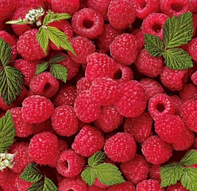 raspberries puzzle online from photo
