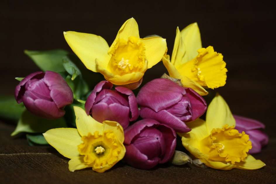 spring flowers puzzle online from photo