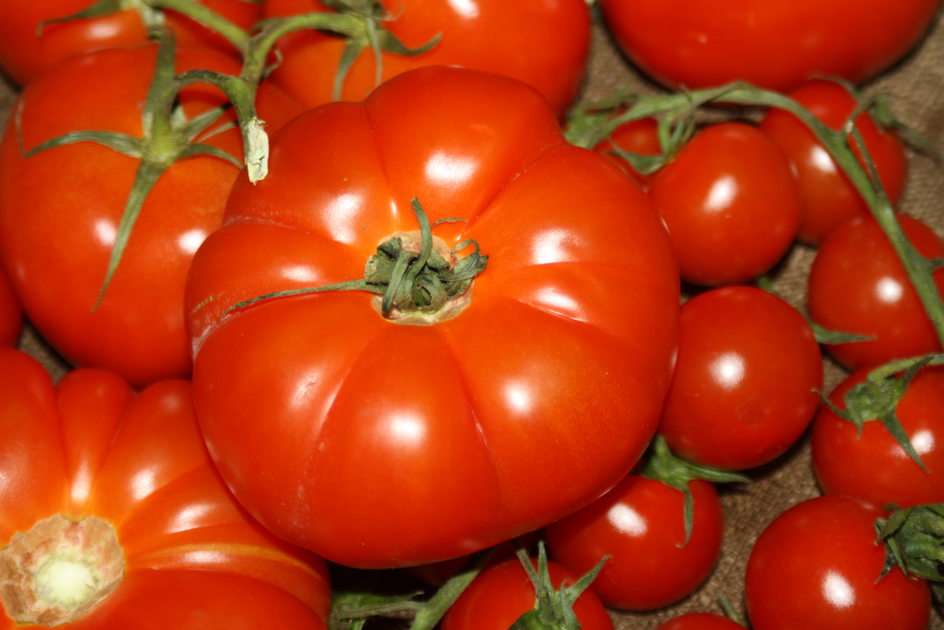 tomates puzzle online