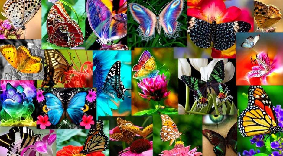 Fabulous butterflies online puzzle