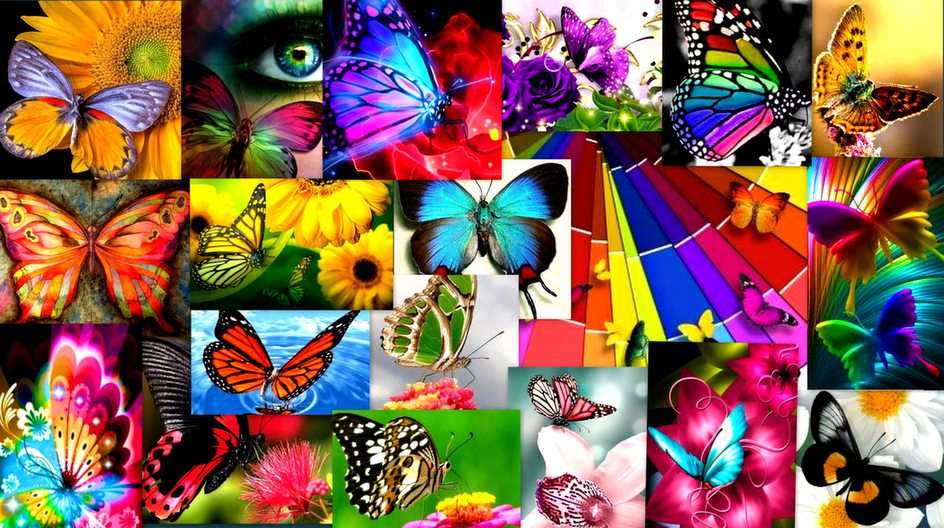 Farfalle puzzle online da foto