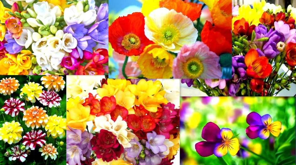 Collage floral puzzle en ligne