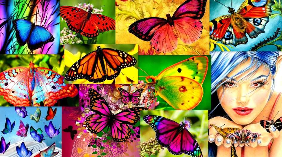 Υπέροχες πεταλούδες παζλ online από φωτογραφία