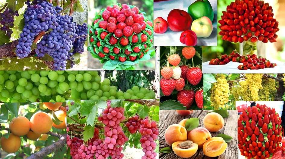 Frukt pussel online från foto
