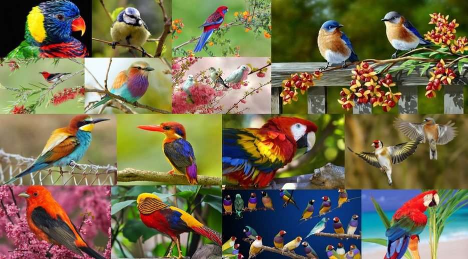 Kicsi madarak online puzzle