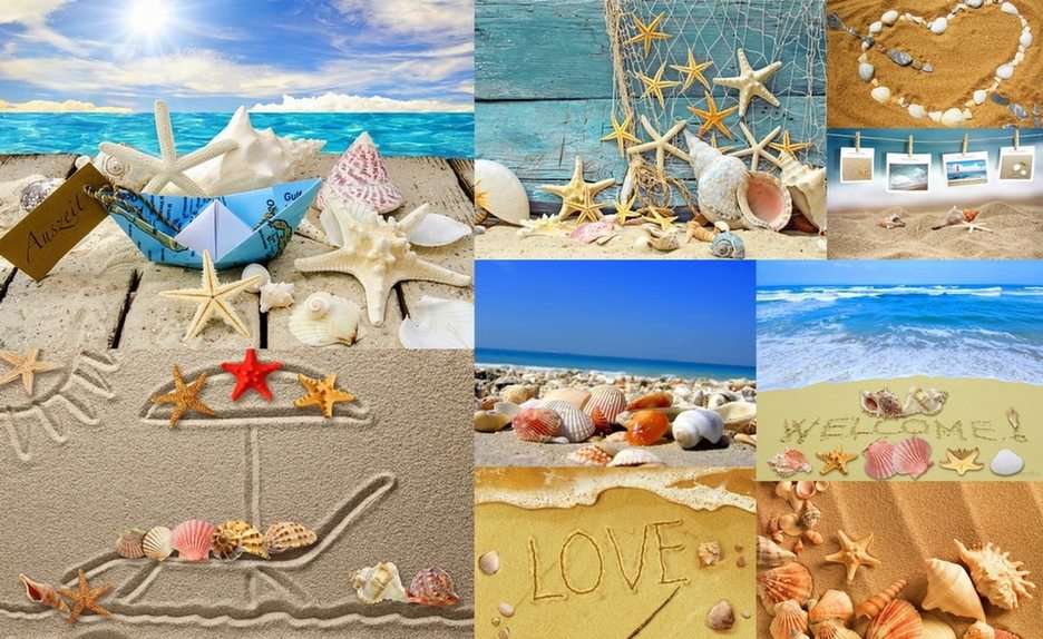 Mer, coquillages, sable puzzle en ligne
