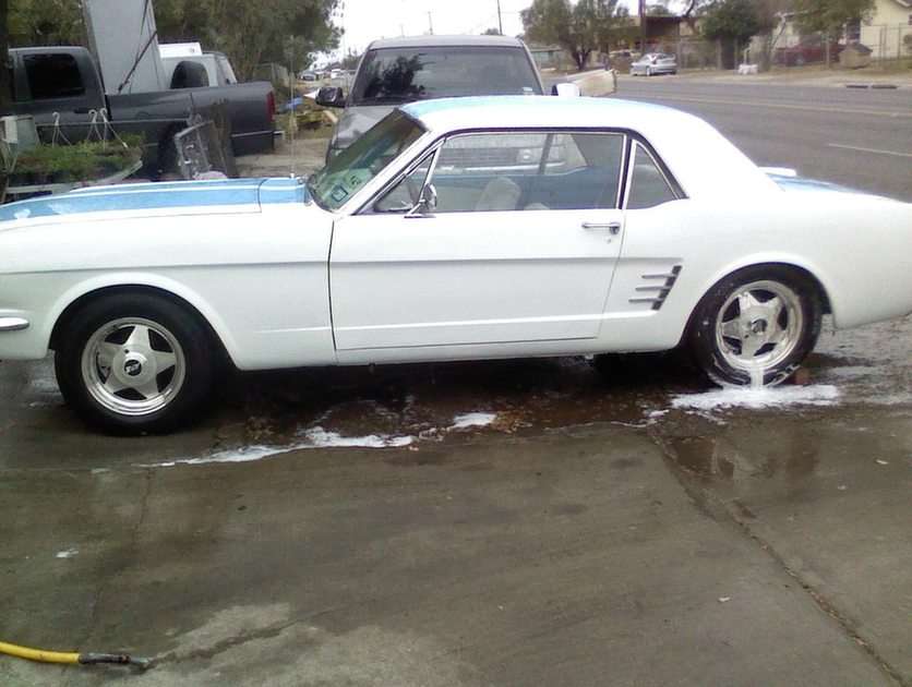 66 stang online puzzle