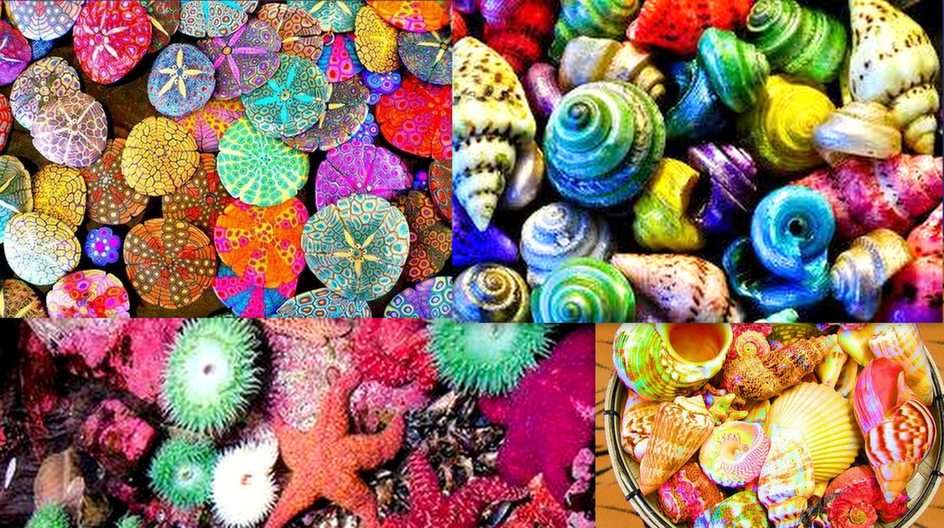 Coquillages colorés puzzle en ligne
