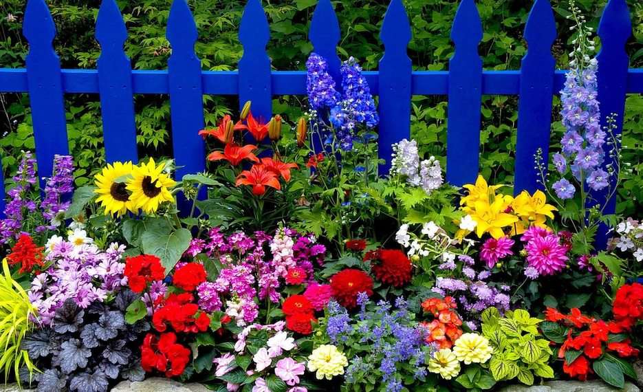 Det blå staketet pussel online från foto