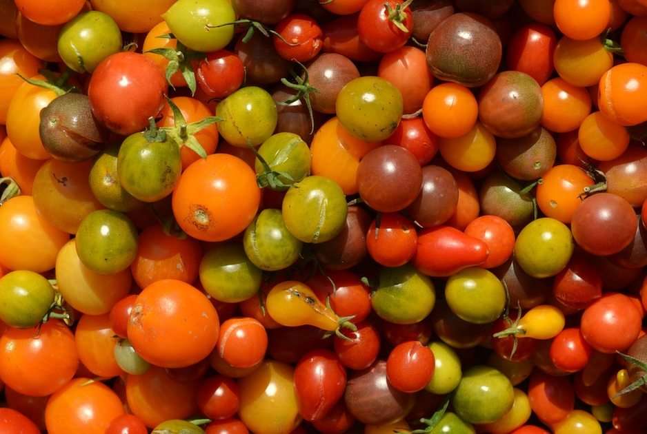 Tomatoes puzzle online from photo