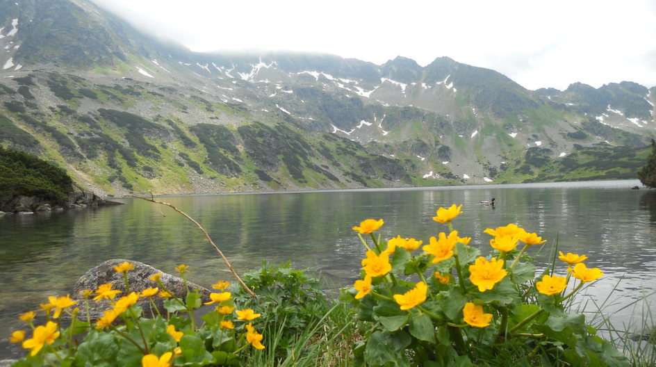 Κοιλάδα πέντε λιμνών παζλ online από φωτογραφία