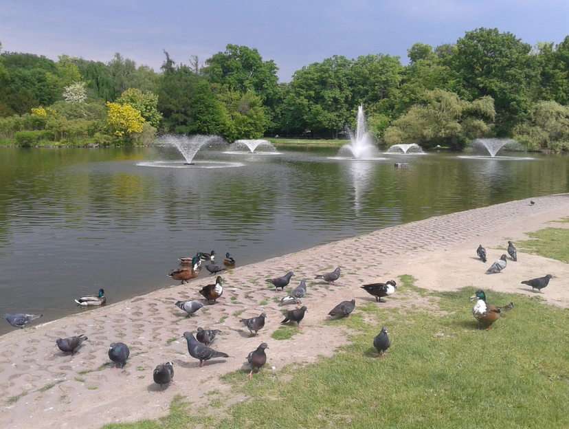 Südpark in Breslau Online-Puzzle