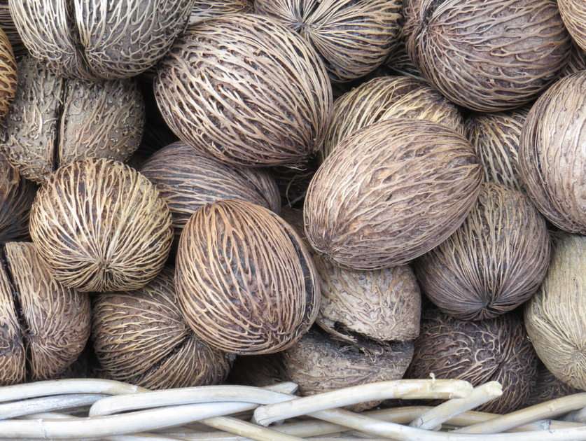 Kokosnötter pussel online från foto