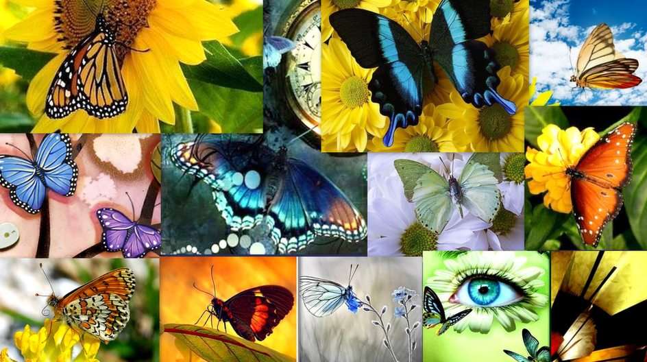 Fantastiska fjärilar Pussel online