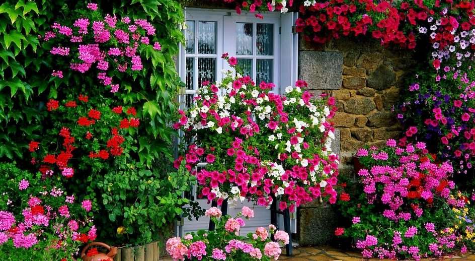 Huis in bloemen puzzel online van foto