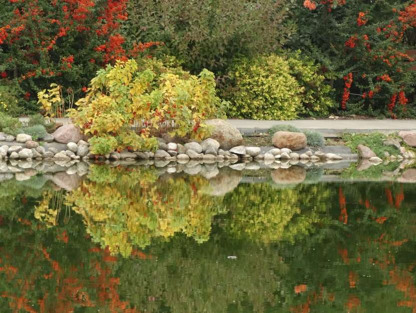 Water reflection online puzzle