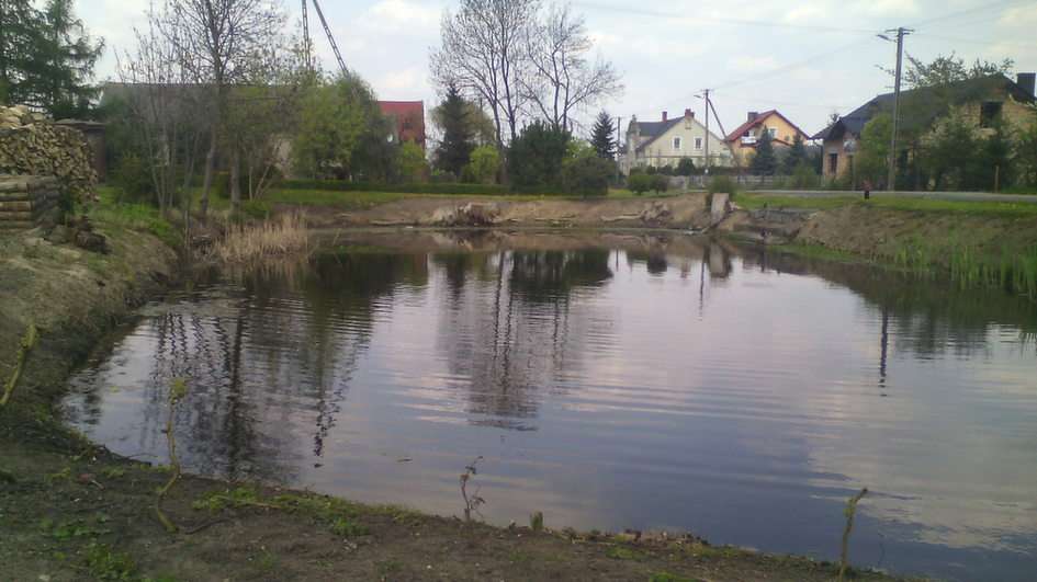 езерце през пролетта онлайн пъзел от снимка