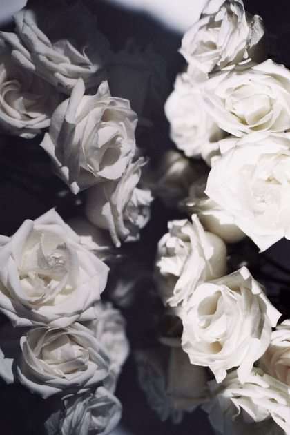 Бели рози онлайн пъзел от снимка