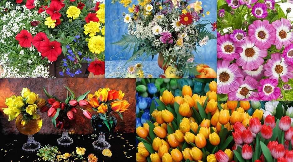 Květiny online puzzle