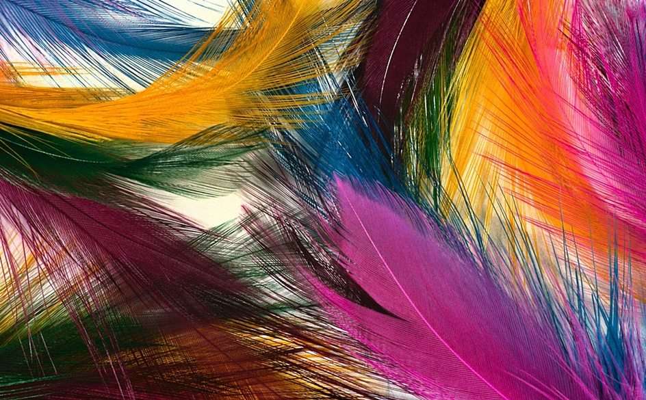 Colorful feathers puzzle online from photo