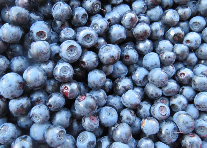Blueberries online puzzle