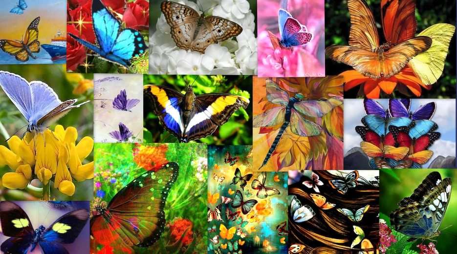 Vlinders puzzel online van foto