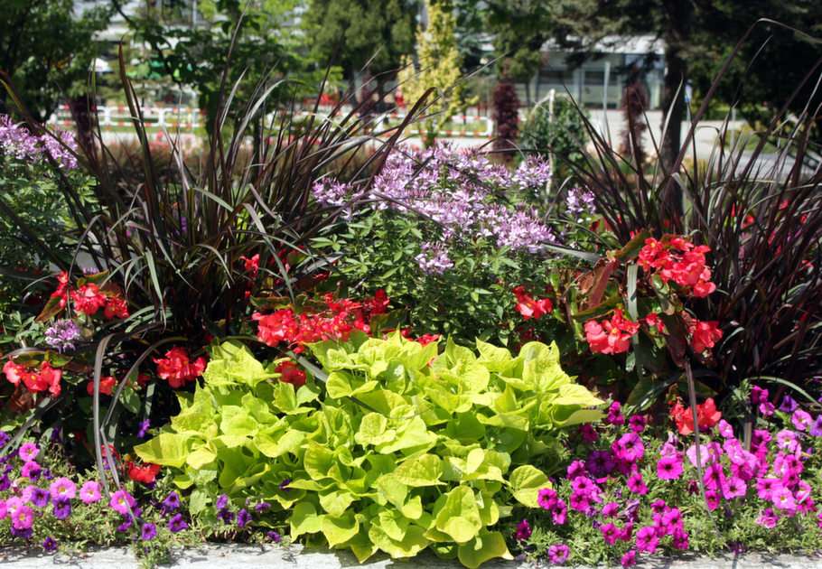 flowerbed puzzle online from photo