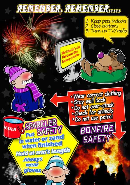 Sparkler och Bonfire Safety pussel online från foto