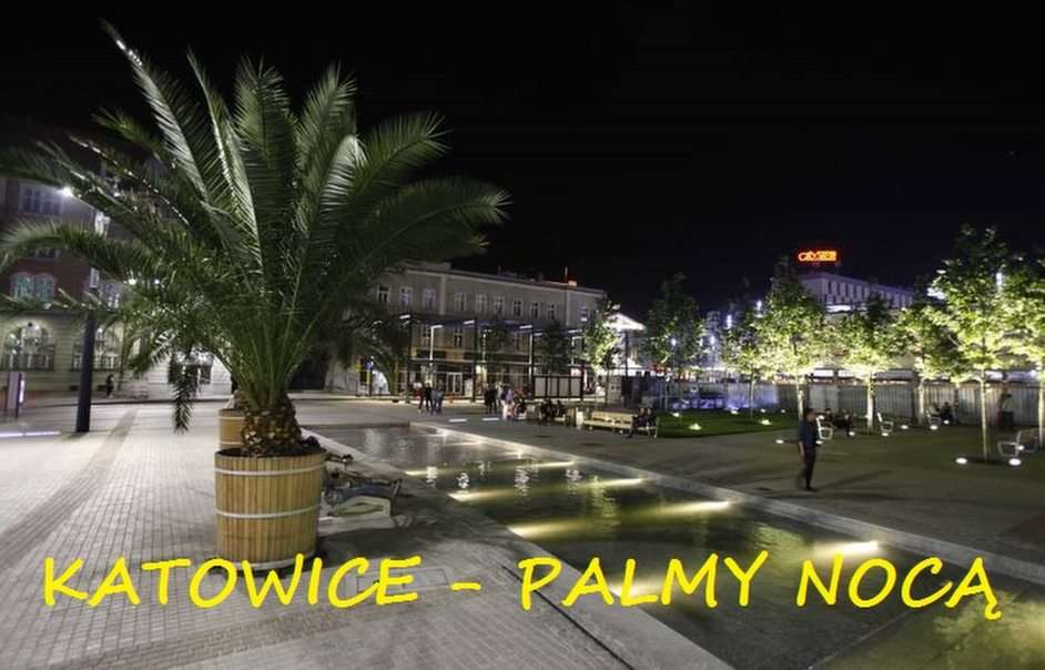 KATOWICE BY NIGHT online puzzle