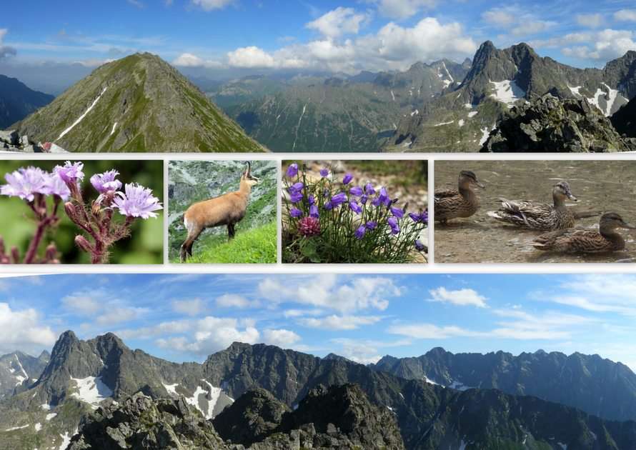 Postkarte aus der Tatra Online-Puzzle