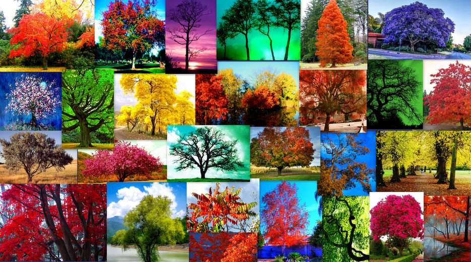 Colorful trees puzzle online from photo