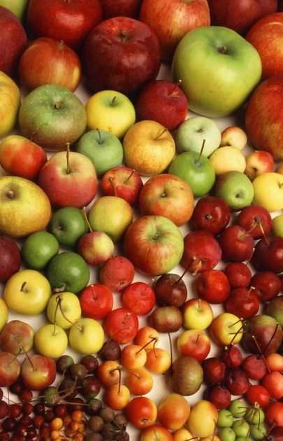 Äpfel puzzle online fotóról